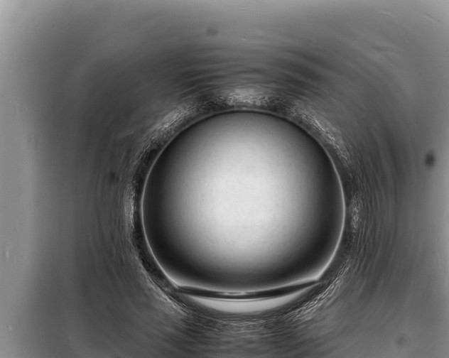 X0000098180637200805011037