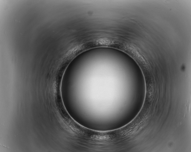 X0000098180639200805011037