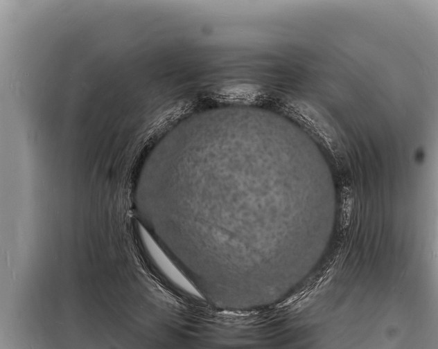 X0000098180641200805011037