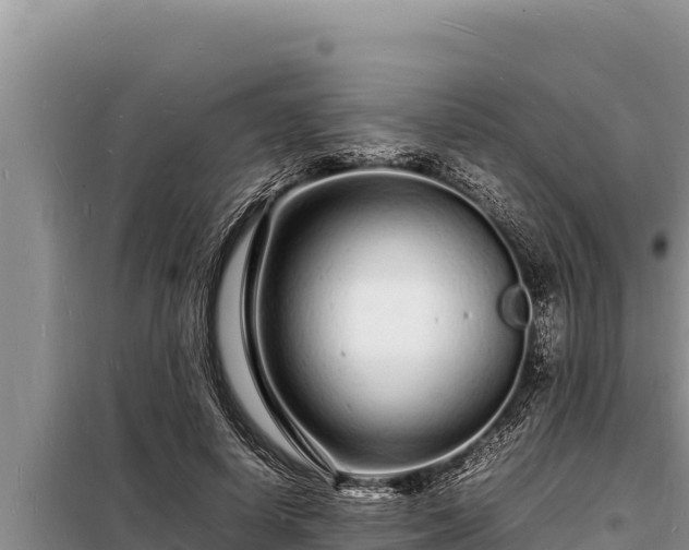 X0000098180642200805011037