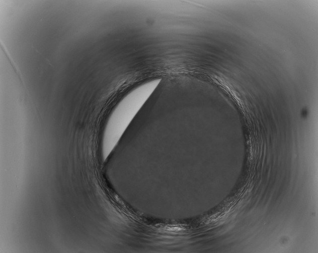 X0000098180643200805011037