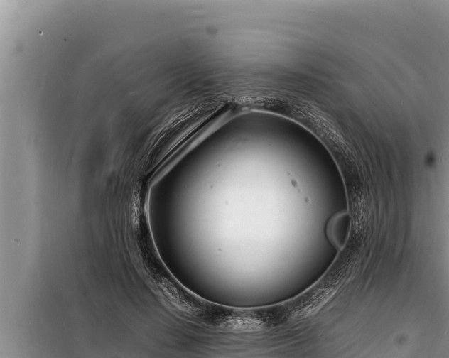 X0000098180644200805011037