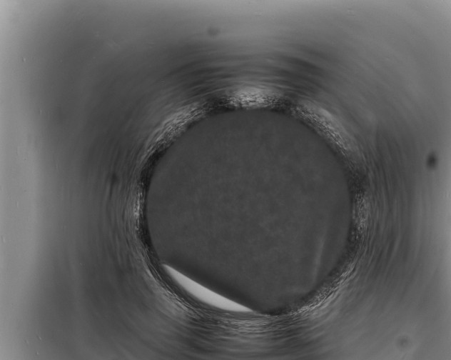 X0000098180645200805011037