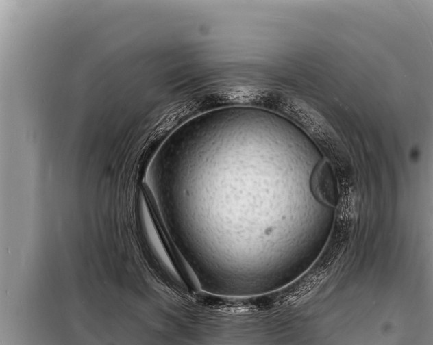 X0000098180646200805011037