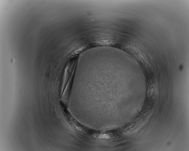 X0000098180647200805011037