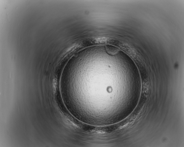 X0000098180648200805011037