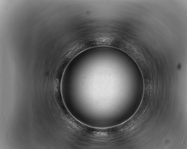 X0000098180649200805011037