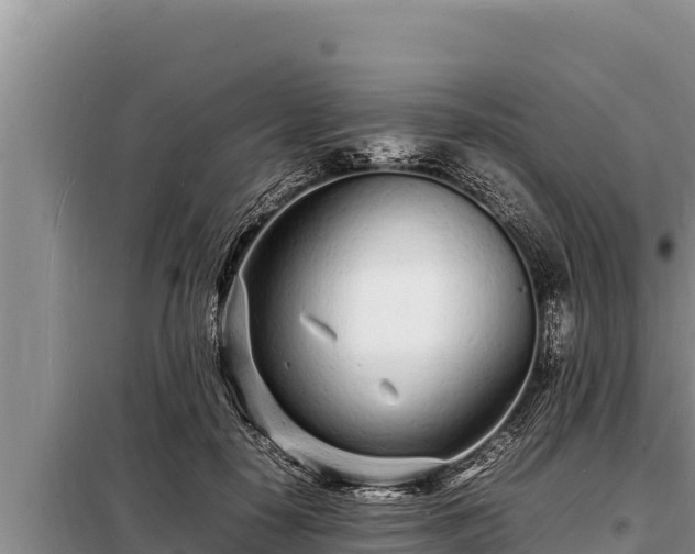 X0000098180650200805011037