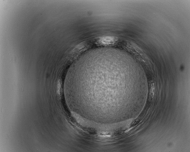 X0000098180651200805011037