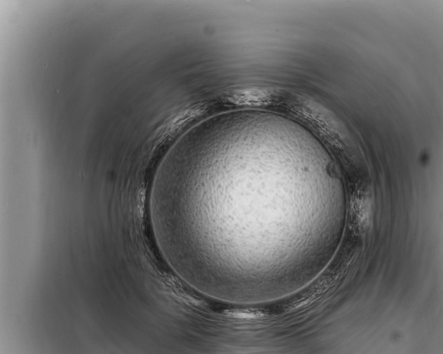 X0000098180652200805011037