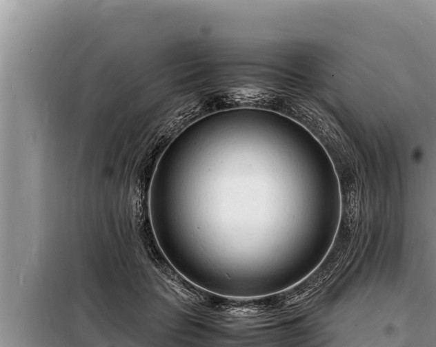 X0000098180653200805011037