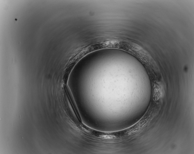 X0000098180654200805011037