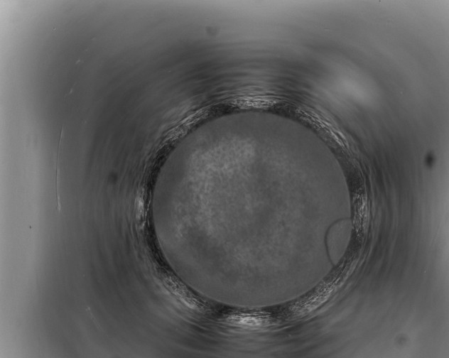 X0000098180655200805011037