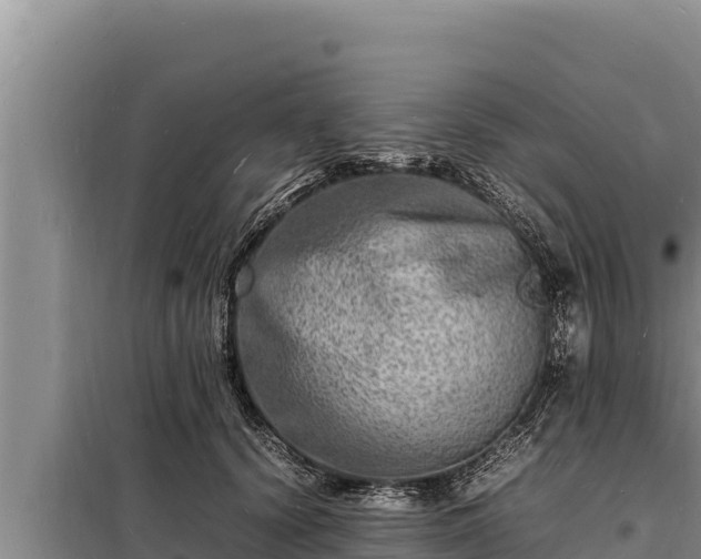 X0000098180656200805011037