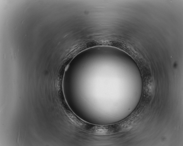 X0000098180658200805011037