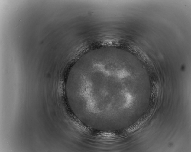 X0000098180659200805011037