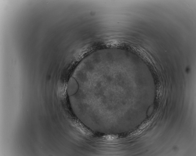 X0000098180660200805011037