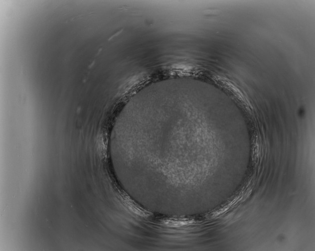 X0000098180661200805011037