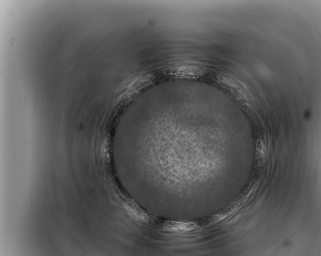 X0000098180663200805011037