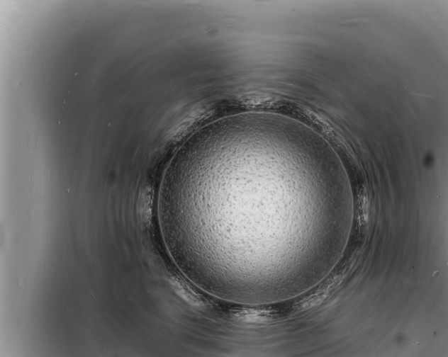 X0000098180664200805011037