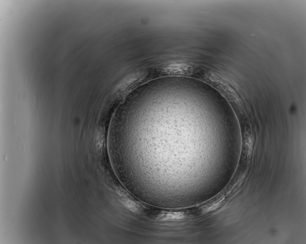 X0000098180665200805011037