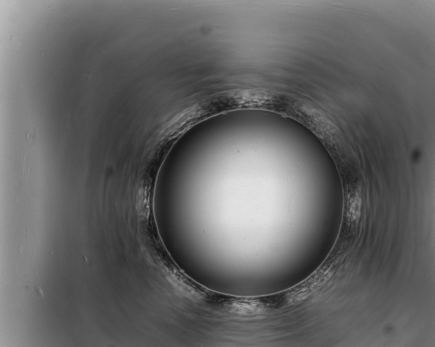 X0000098180666200805011037