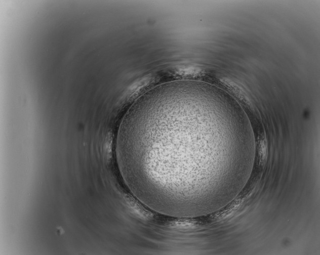 X0000098180668200805011037