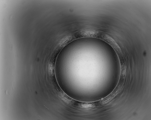 X0000098180669200805011037