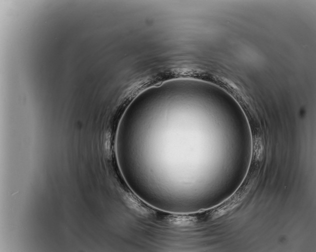 X0000098180670200805011037