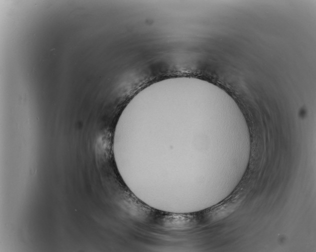 X0000098180672200805011037