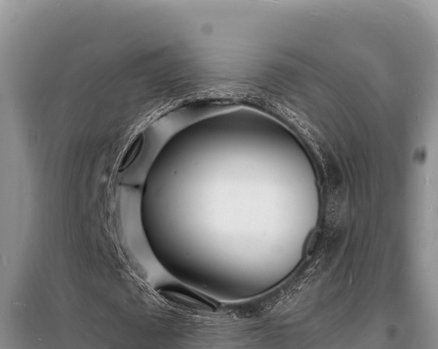 X0000098180673200805011037