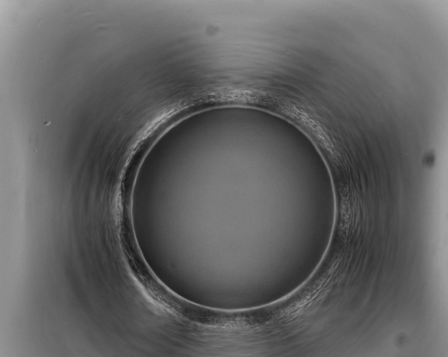 X0000098180674200805011037