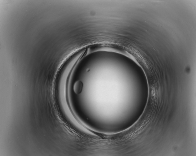 X0000098180676200805011037