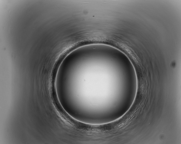 X0000098180677200805011037