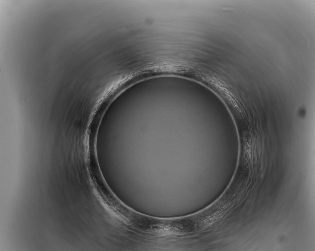 X0000098180678200805011037