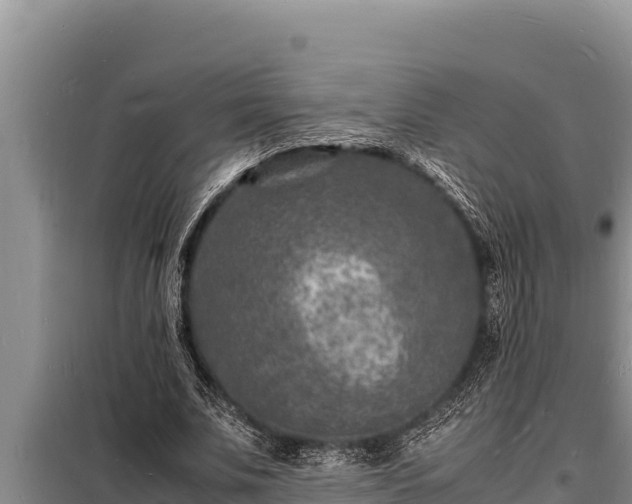 X0000098180679200805011036