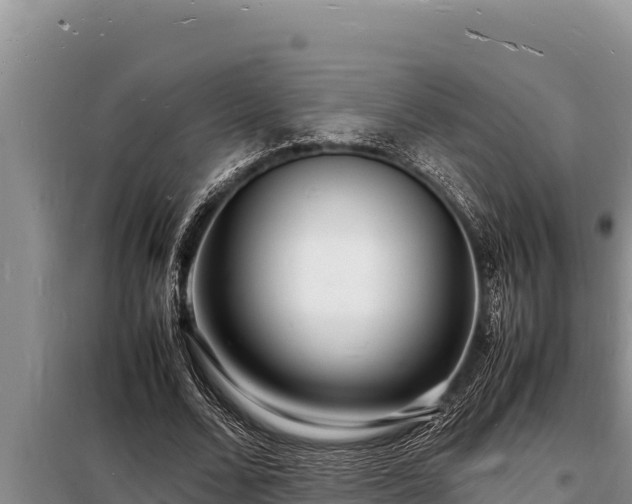 X0000098180680200805011036