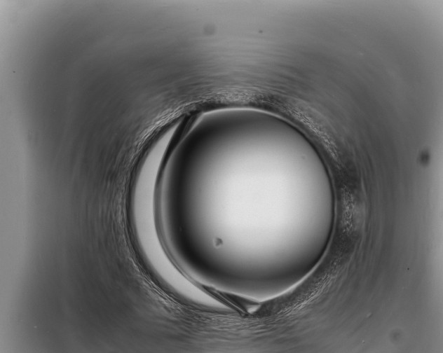 X0000098180681200805011036