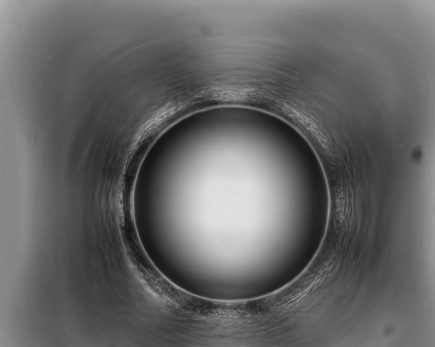 X0000098180682200805011036