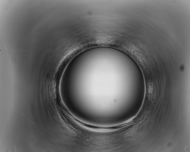 X0000098180684200805011036