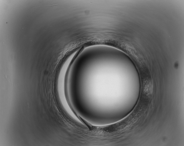 X0000098180685200805011036