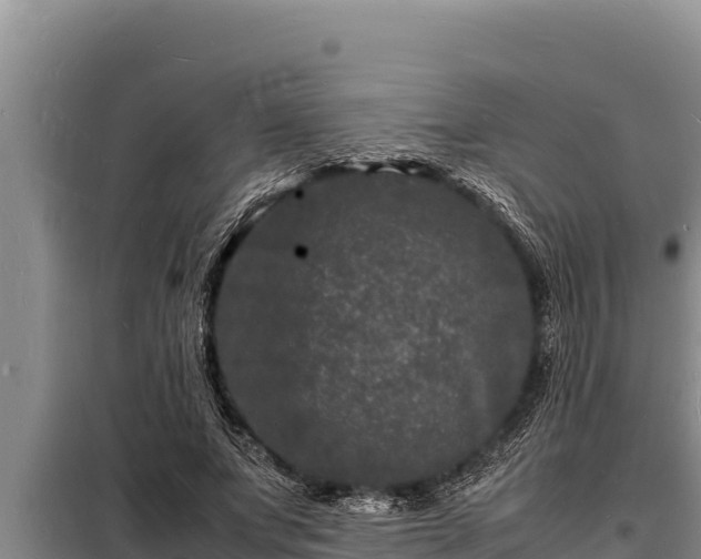 X0000098180687200805011036