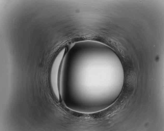 X0000098180689200805011036