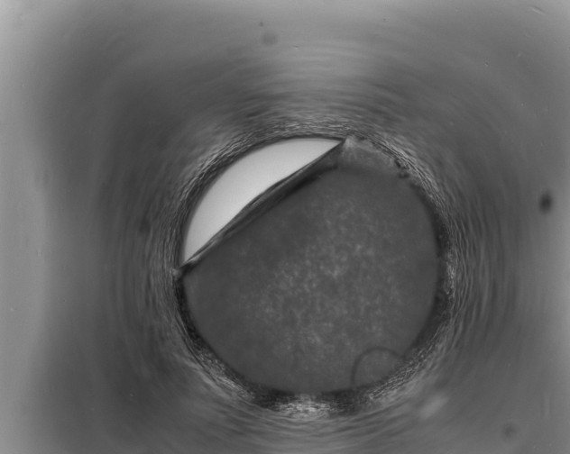 X0000098180691200805011036