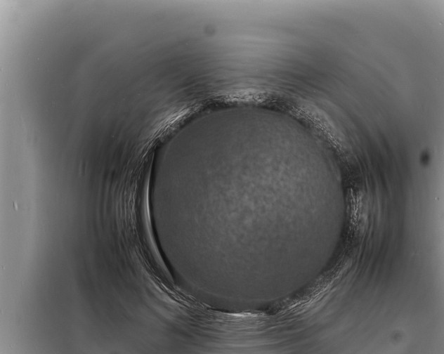 X0000098180692200805011036