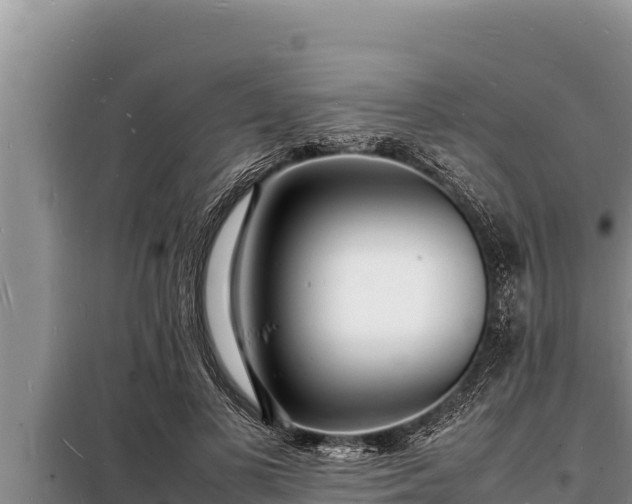 X0000098180693200805011036