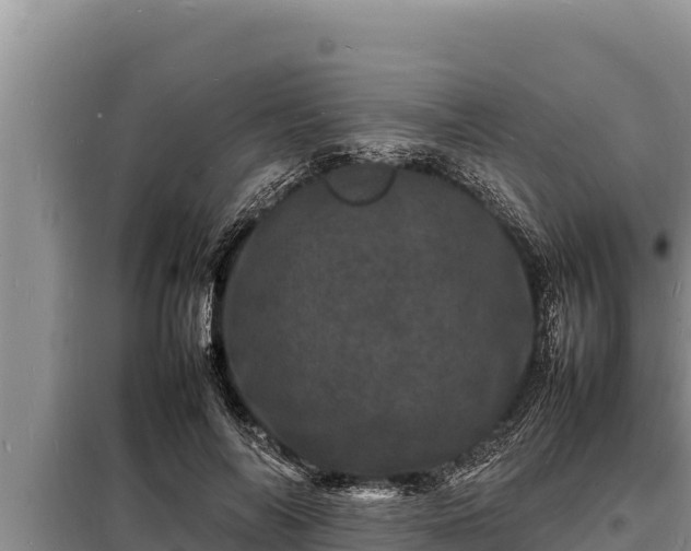 X0000098180694200805011036