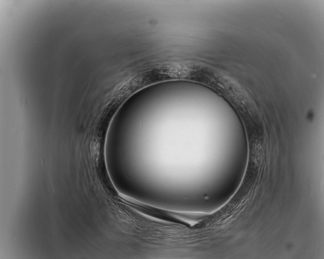 X0000098180697200805011036