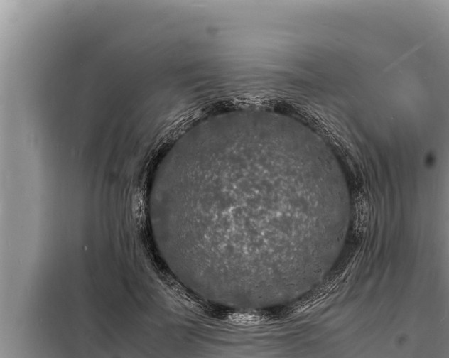 X0000098180699200805011036