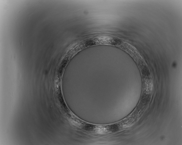 X0000098180701200805011036